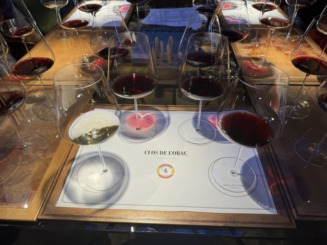 Calçotada y Cata de vinos en el Priorato – Tarragona.